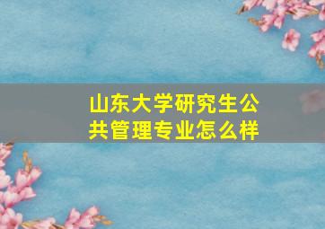 山东大学研究生公共管理专业怎么样