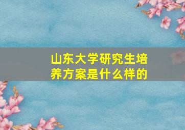 山东大学研究生培养方案是什么样的