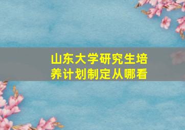 山东大学研究生培养计划制定从哪看