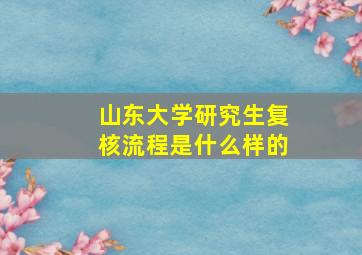 山东大学研究生复核流程是什么样的