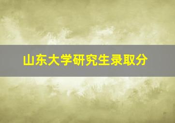 山东大学研究生录取分