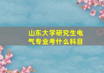 山东大学研究生电气专业考什么科目