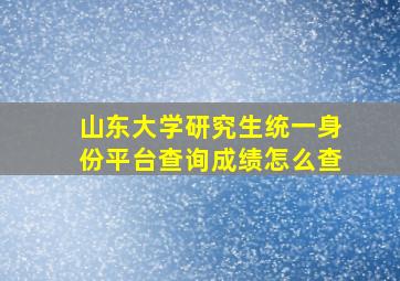 山东大学研究生统一身份平台查询成绩怎么查