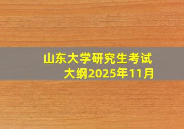 山东大学研究生考试大纲2025年11月