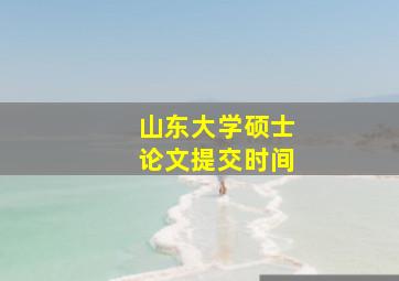 山东大学硕士论文提交时间