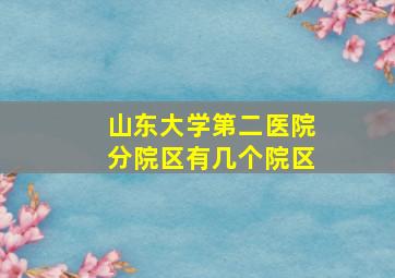 山东大学第二医院分院区有几个院区