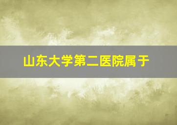 山东大学第二医院属于