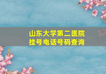 山东大学第二医院挂号电话号码查询