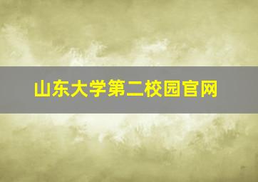 山东大学第二校园官网