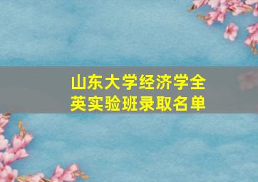 山东大学经济学全英实验班录取名单