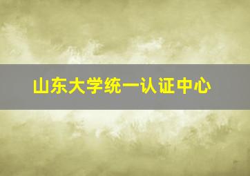 山东大学统一认证中心