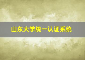 山东大学统一认证系统