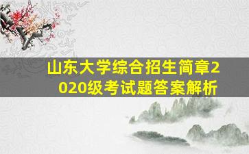 山东大学综合招生简章2020级考试题答案解析