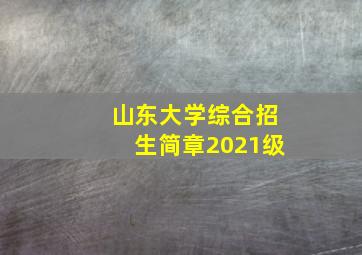 山东大学综合招生简章2021级