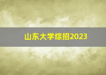 山东大学综招2023