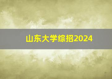 山东大学综招2024