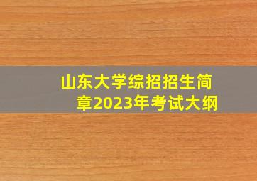 山东大学综招招生简章2023年考试大纲