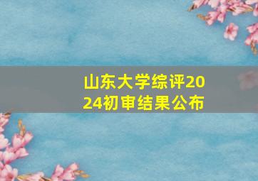 山东大学综评2024初审结果公布