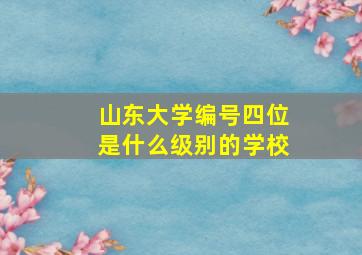 山东大学编号四位是什么级别的学校