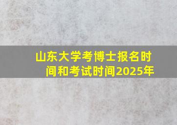 山东大学考博士报名时间和考试时间2025年