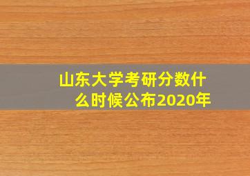 山东大学考研分数什么时候公布2020年