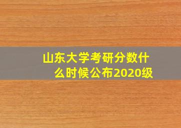 山东大学考研分数什么时候公布2020级