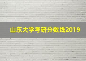 山东大学考研分数线2019