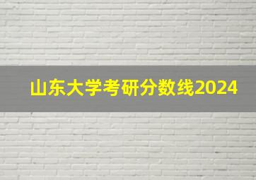 山东大学考研分数线2024