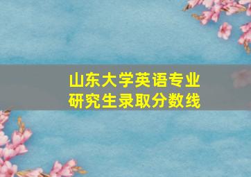 山东大学英语专业研究生录取分数线