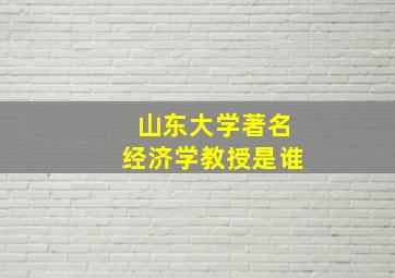 山东大学著名经济学教授是谁