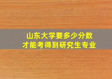 山东大学要多少分数才能考得到研究生专业