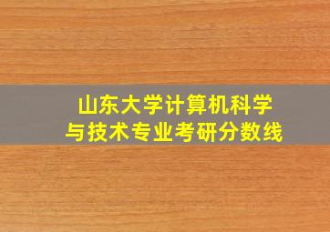 山东大学计算机科学与技术专业考研分数线