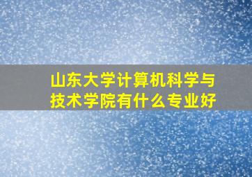 山东大学计算机科学与技术学院有什么专业好