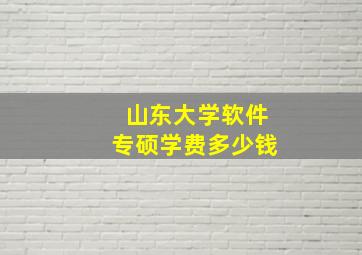 山东大学软件专硕学费多少钱