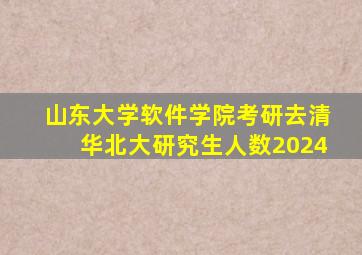 山东大学软件学院考研去清华北大研究生人数2024