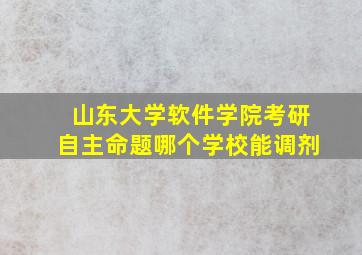 山东大学软件学院考研自主命题哪个学校能调剂