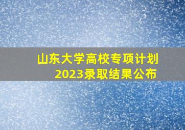 山东大学高校专项计划2023录取结果公布