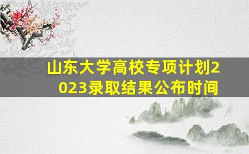 山东大学高校专项计划2023录取结果公布时间