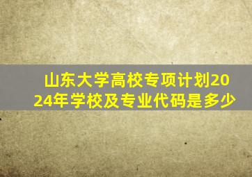 山东大学高校专项计划2024年学校及专业代码是多少