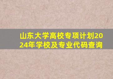 山东大学高校专项计划2024年学校及专业代码查询