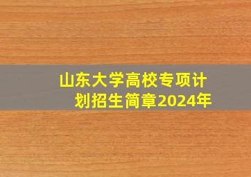 山东大学高校专项计划招生简章2024年