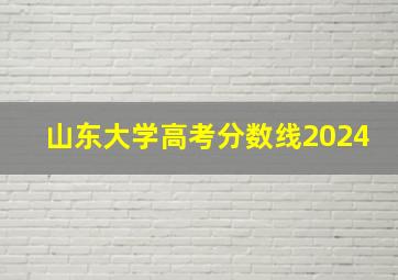 山东大学高考分数线2024