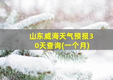 山东威海天气预报30天查询(一个月)