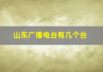 山东广播电台有几个台