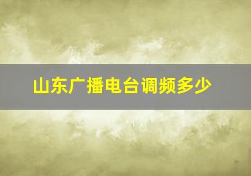 山东广播电台调频多少