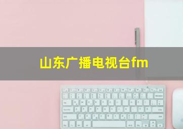 山东广播电视台fm