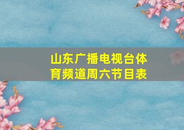 山东广播电视台体育频道周六节目表