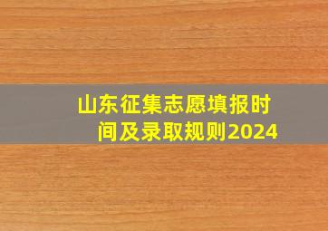 山东征集志愿填报时间及录取规则2024