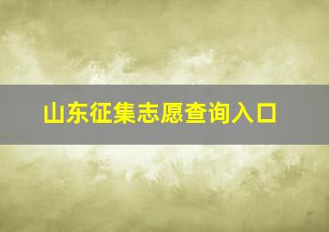 山东征集志愿查询入口