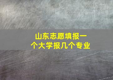 山东志愿填报一个大学报几个专业